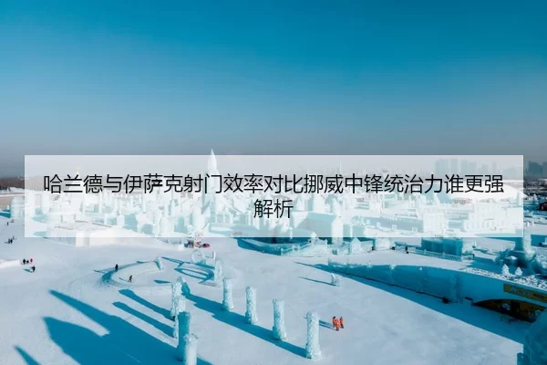 哈兰德与伊萨克射门效率对比挪威中锋统治力谁更强解析