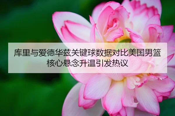 库里与爱德华兹关键球数据对比美国男篮核心悬念升温引发热议