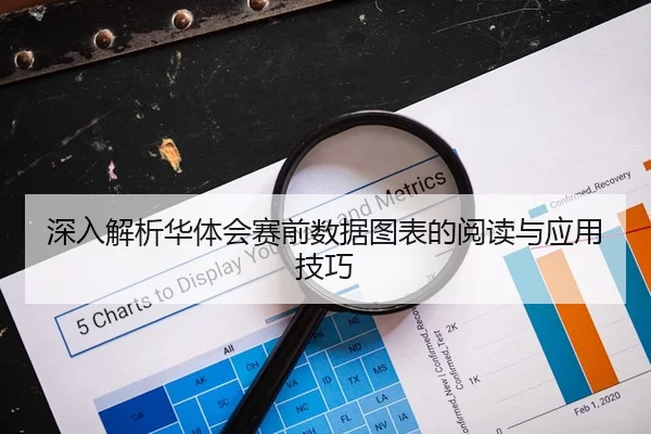 深入解析华体会赛前数据图表的阅读与应用技巧
