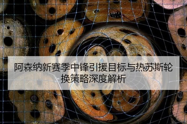 阿森纳新赛季中锋引援目标与热苏斯轮换策略深度解析