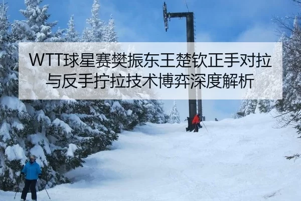WTT球星赛樊振东王楚钦正手对拉与反手拧拉技术博弈深度解析