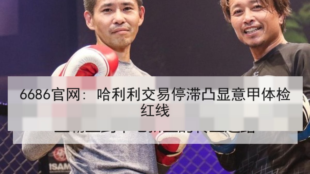 6686官网: 哈利利交易停滞凸显意甲体检红线