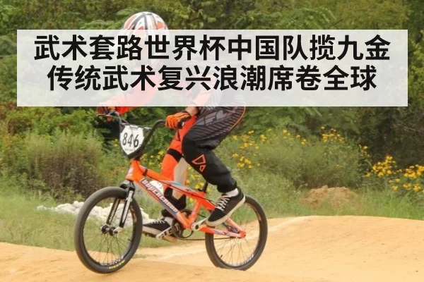 武术套路世界杯中国队揽九金传统武术复兴浪潮席卷全球